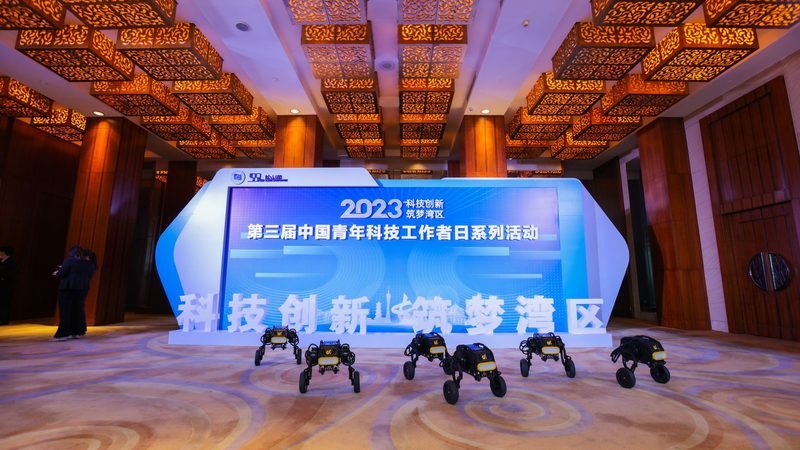 信息化建设与数字化转型：本质区别与路径解析